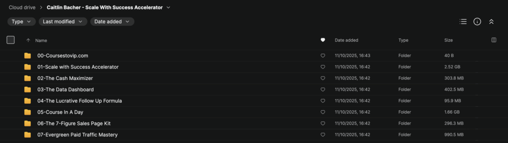 Caitlin Bacher – Scale With Success Accelerator